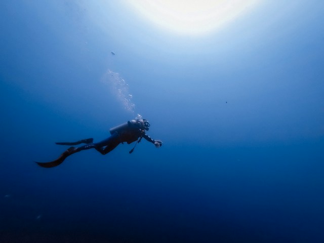 Erkunden Sie das lebendige Meeresleben in Hurghada: Ein Paradies für Taucher